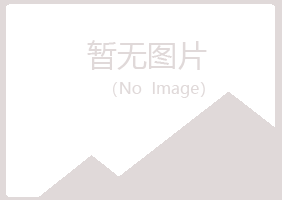 岳西县山柏培训有限公司